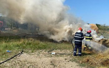 Aproximativ 20 de tone de …