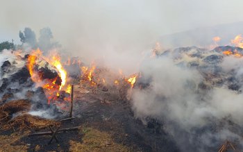 Incendiu violent la Stroiești! Aproximativ …