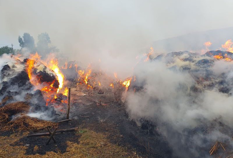 Incendiu violent la Stroiești! Aproximativ 50 de tone de furaje au fost cuprinse de flăcări - FOTO