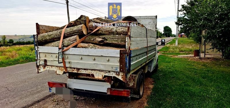 Material lemnos confiscat la Șendriceni