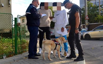 Zeci de elevi aduși la …