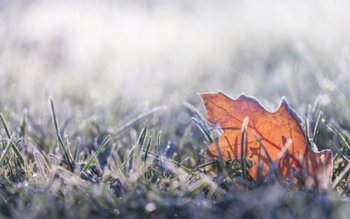 Schimbare bruscă a vremii în …