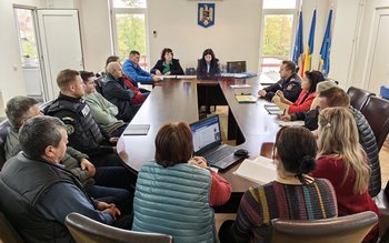 Comitetele Locale pentru Situații de …