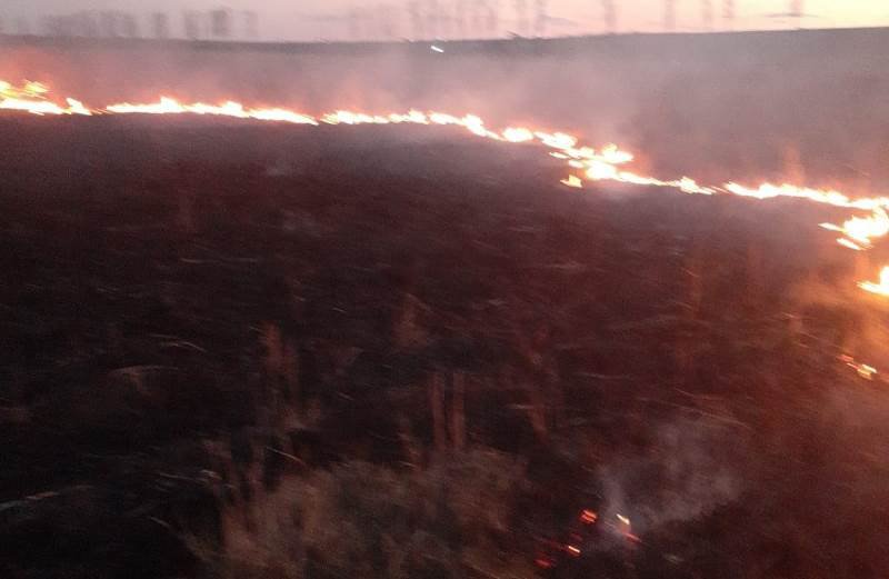 Aproape cinci hectare de vegetație uscată au ars din cauza unui foc lăsat nesupravegheat