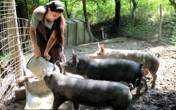 Apare „încălțămintea de coteț”. Noi …