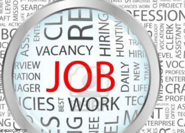 AJOFM Botoșani a publicat lista locurilor de muncă vacante. Peste 500 de joburi sunt disponibile