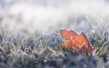 Vremea se răcește brusc și …