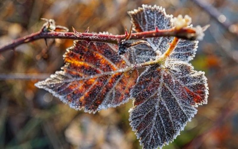 Un ciclon polar lovește România! Meteorologii anunță ninsori viscolite și temperaturi extrem de scăzute