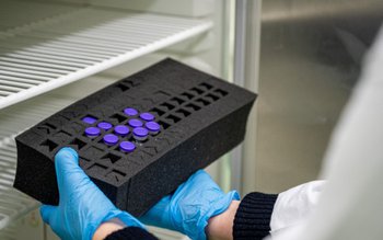 Un vaccin care stă în …