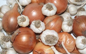 Ceapa și usturoiul protejează femeile …