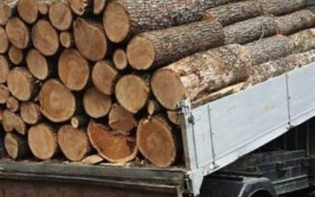 Sancțiune de 2.000 de lei …