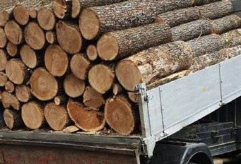 Sancțiune de 2.000 de lei aplicată de polițiști pentru transport material lemnos fără documente