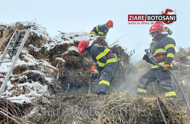 Deșeuri vegetale cuprinse de flăcări la ieșirea din Dorohoi. Pompierii au intervenit pentru stingere - FOTO