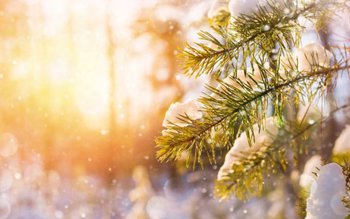 Vreme ciudată în România! Ce …