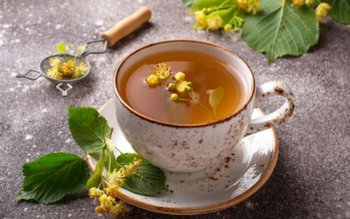 Câteva dintre cele mai bune …