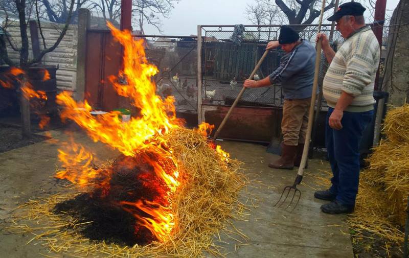 Sfaturi de la pompierii botoșăneni pentru prevenirea evenimentelor neplăcute pe timpul sacrificării porcilor