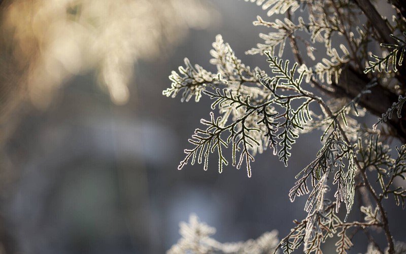 ANM: Prognoza meteo pentru următoarele patru săptămâni