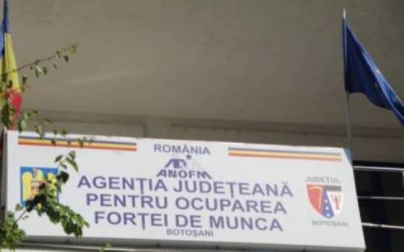 Salariații din AJOFM Botoșani sunt nemulțumiți de rezultatele negocierilor cu reprezentanții Guvernului