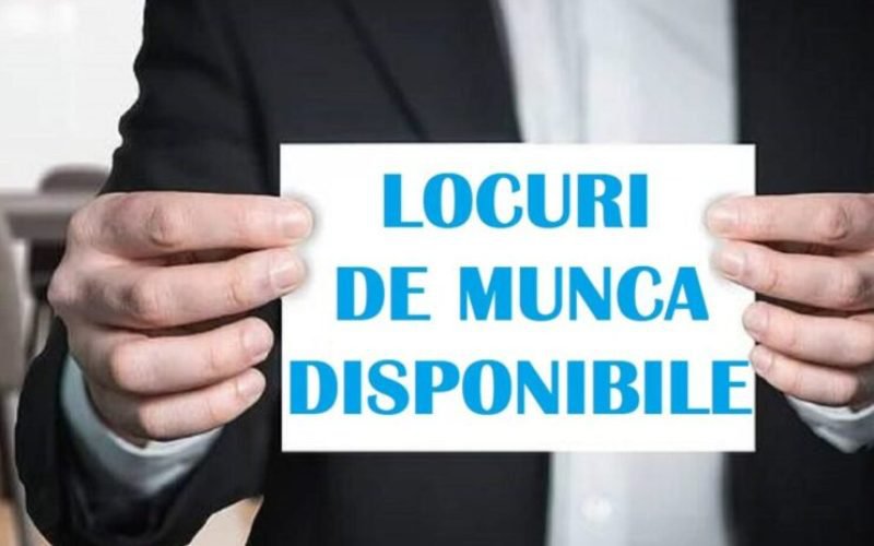 AJOFM Botoșani a publicat lista cu locurile de muncă disponibile în județ