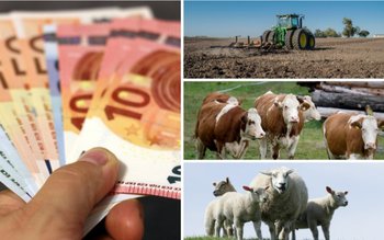 Subvenții APIA 2024. Regulă nouă …