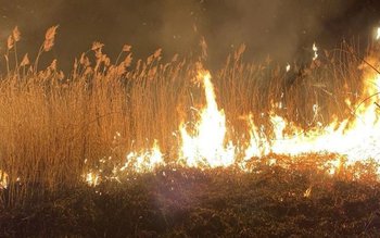 Incendii de vegetație în două …