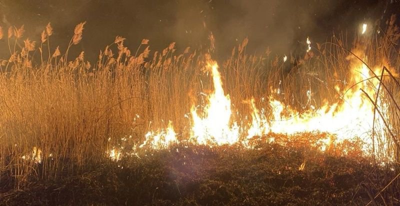 Incendii de vegetație în două localități din județ. Aproximativ zece hectare de vegetație uscată și stuf au ars violent