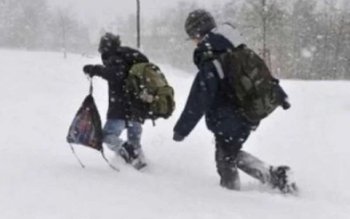 Cursuri suspendate în județul Botoșani! …