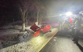 A avut nevoie de îngrijiri …