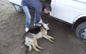 Botoșăneni trimiși în judecată pentru …