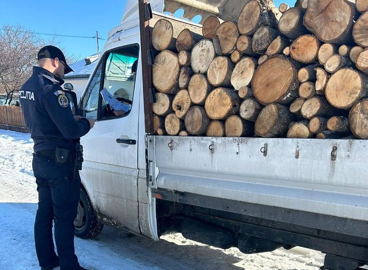 Amendă de 1000 de lei și material lemnos confiscat de polițiști