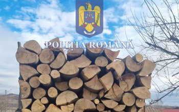 Material lemnos fără documente depistat …
