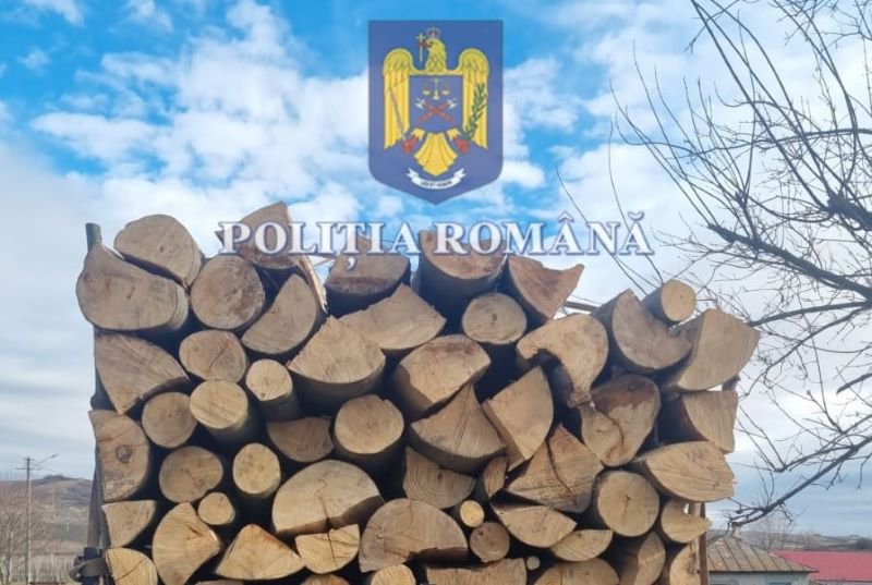 Material lemnos fără documente depistat la Dorohoi și Bucecea