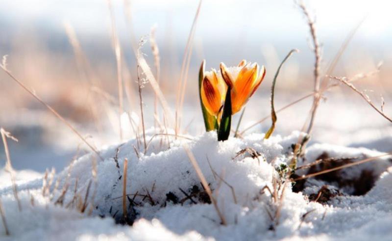 Urmează o lună cu temperaturi neobișnuite! Prognoza meteo pentru perioada 12 februarie - 11 martie