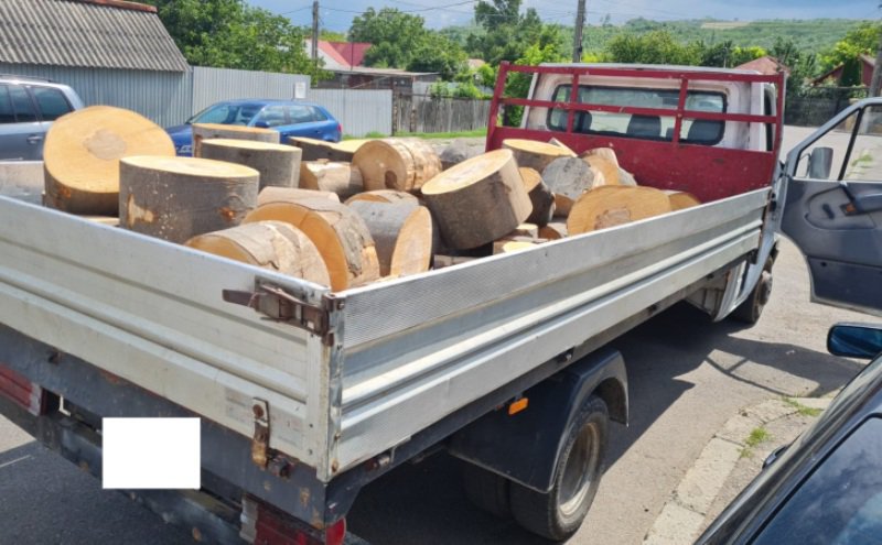 Sancțiune de 5.000 de lei și material lemnos confiscat de polițiști