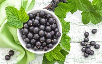 Un medicament antireumatic puternic și …