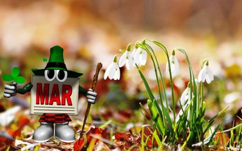 Tradiţii şi superstiții de 1 …