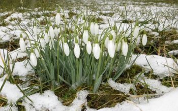 Vremea se strică brusc în …