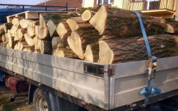 Aproximativ 8 metri cubi de …