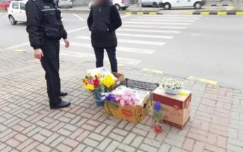 Bătaie cu flori și ghivece …