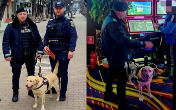 Acțiune a Biroului de Siguranță …