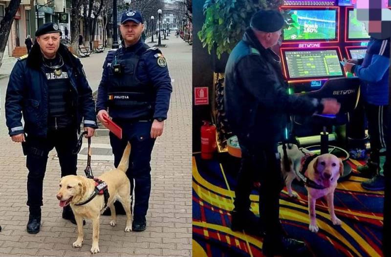 Acțiune a Biroului de Siguranță Școlară cu sprijinul unui echipaj canin a Poliției de Frontieră