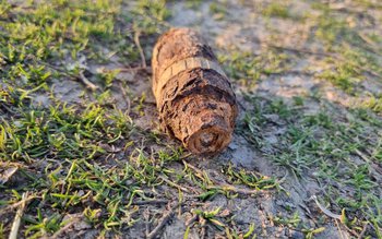 Proiectil găsit în grădină de …