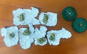 Bărbați depistați cu muguri vegetali …