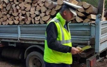 Delictele silvice continuă! Lemne confiscate …