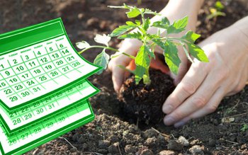 Cel mai bun moment pentru …