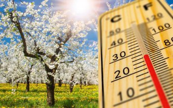 Temperaturi neobișnuite în aprilie! Prognoza …