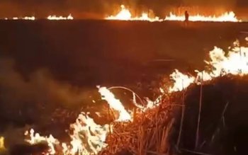 Incendiu de vegetație uscată și …