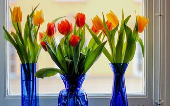 Ce trebuie să pui în …