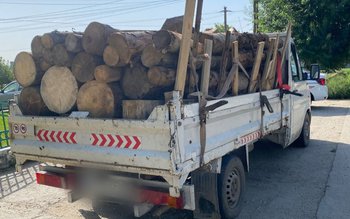 Amenzi usturătoare și lemn confiscat, …
