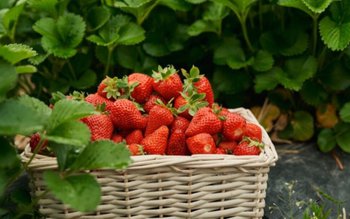 Alertă alimentară! S-a retras urgent …